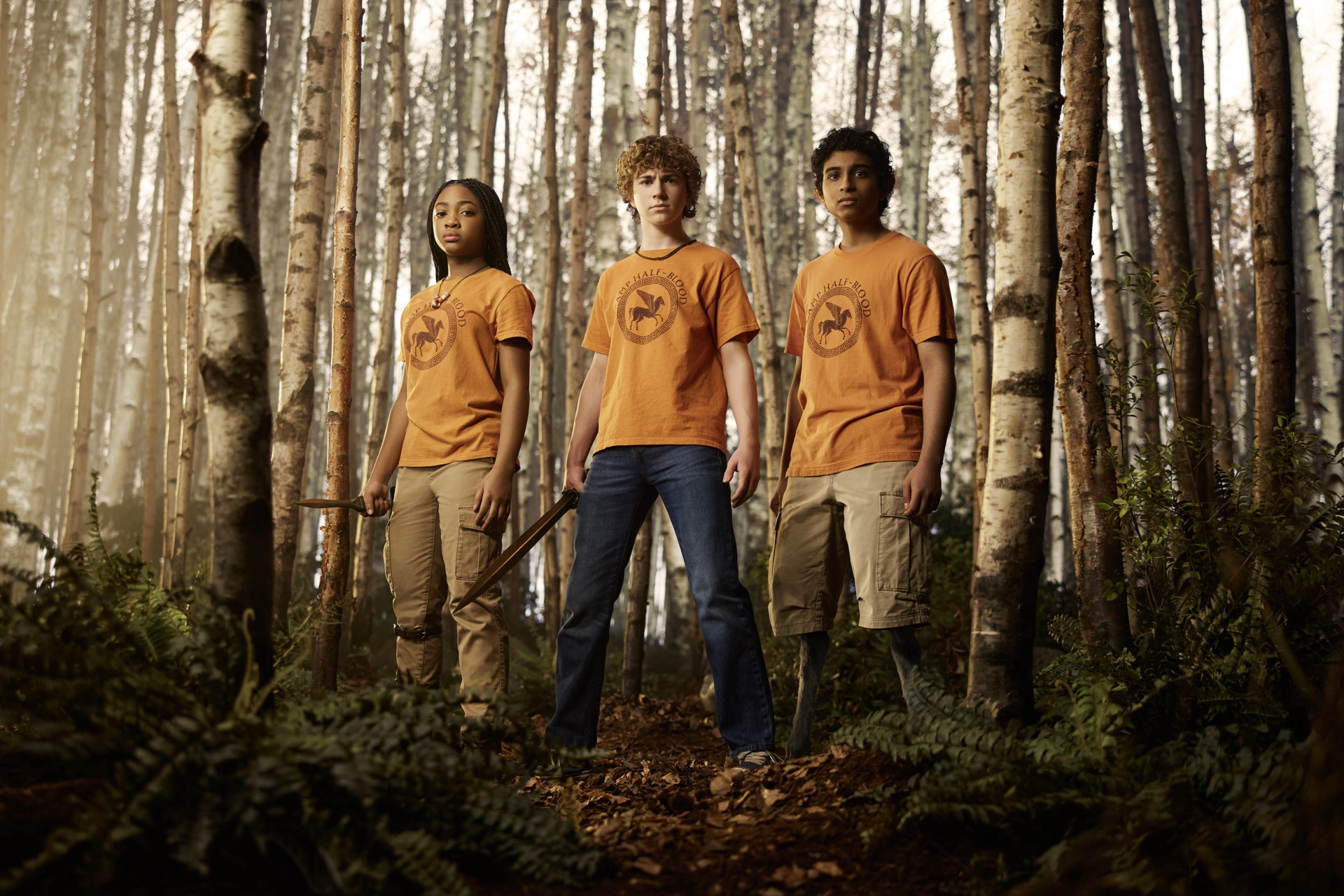 MORE ABOUT PERCY JACKSON AND THE OLYMPIANS