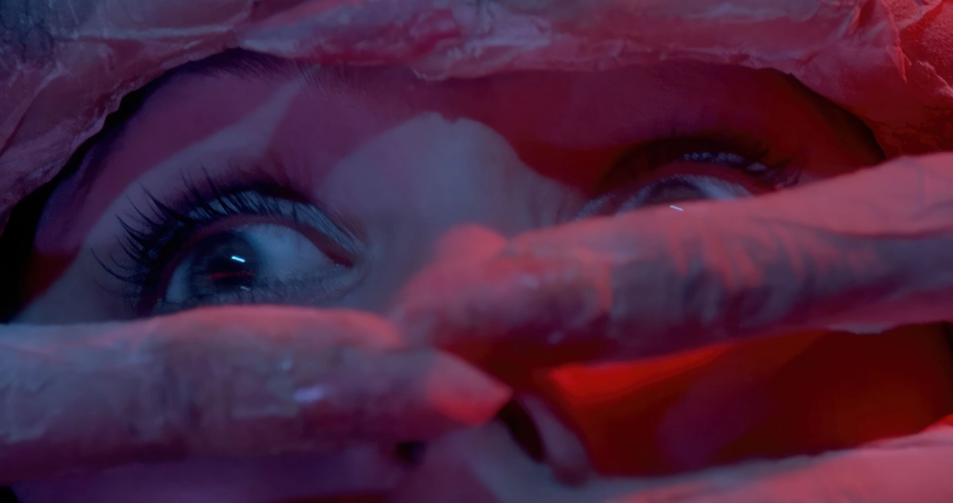 Simone Scafidi’s DARIO ARGENTO PANICO. Courtesy of Shudder. A Shudder Release.