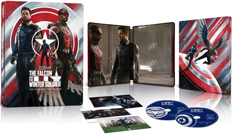 Falcon Winter Soldier