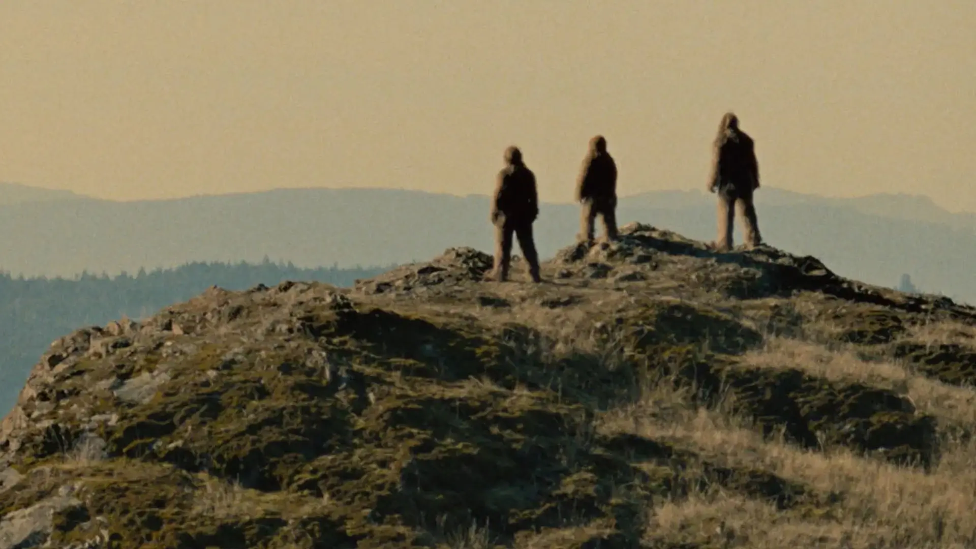 Sasquatch Sunset Negates Its Own Journey