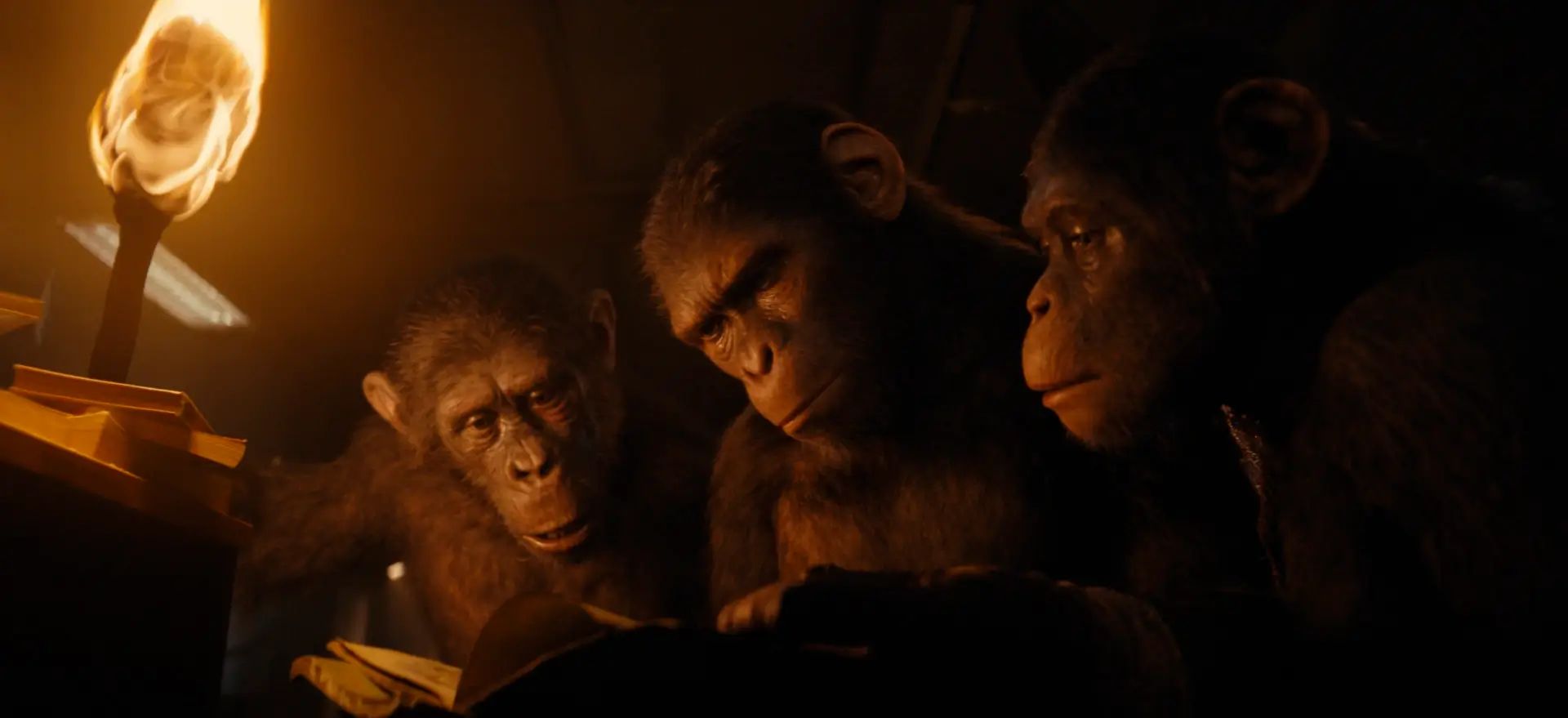 Kingdom Of The Planet Of The Apes