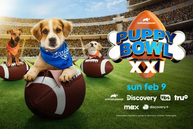 Puppy Bowl