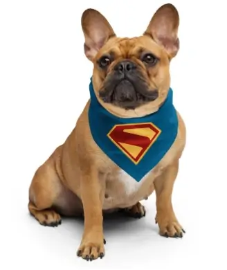 Krypto The Superdog Collection Takes Flight