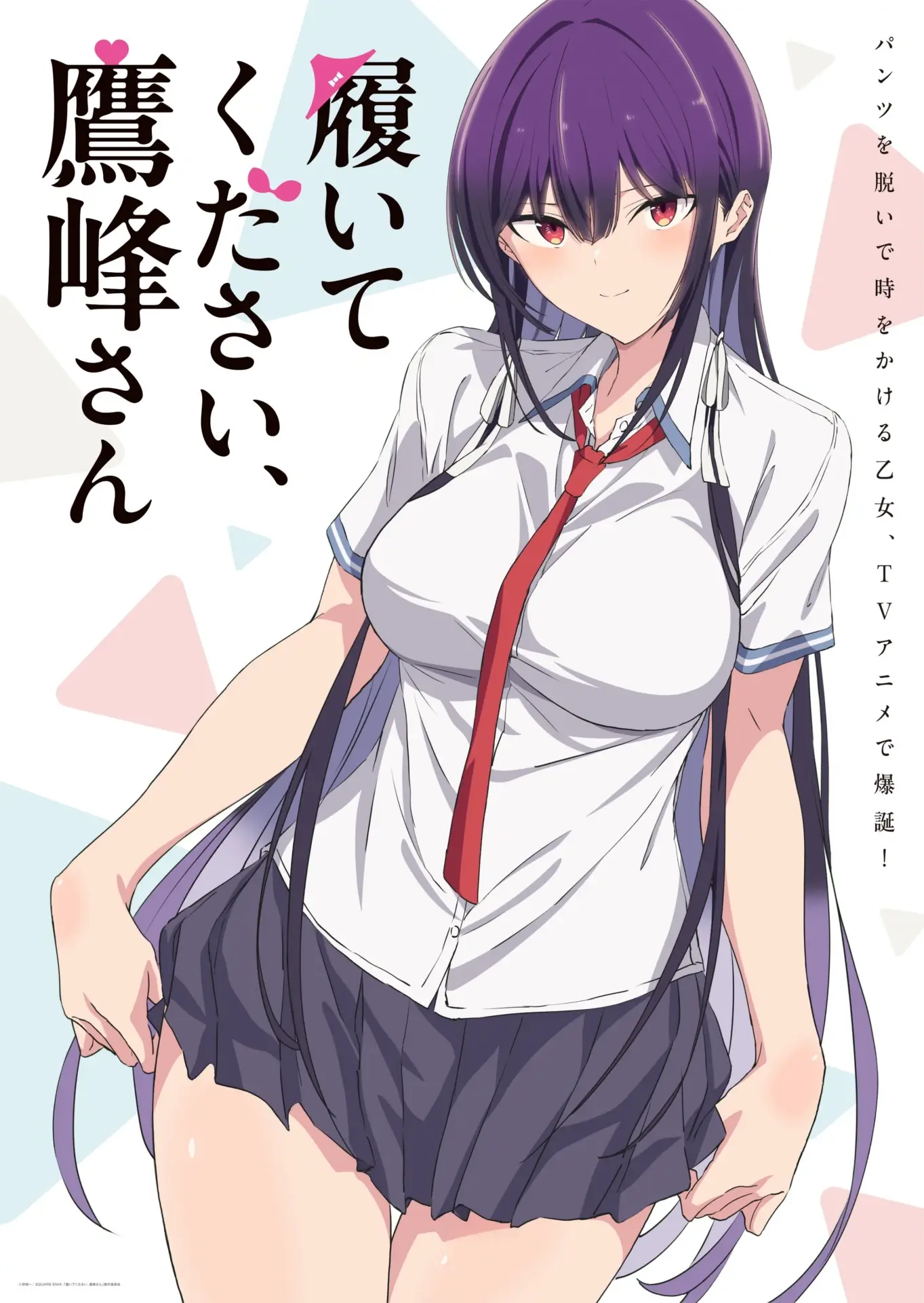 Please Put Them On, Takamine-san JP key art