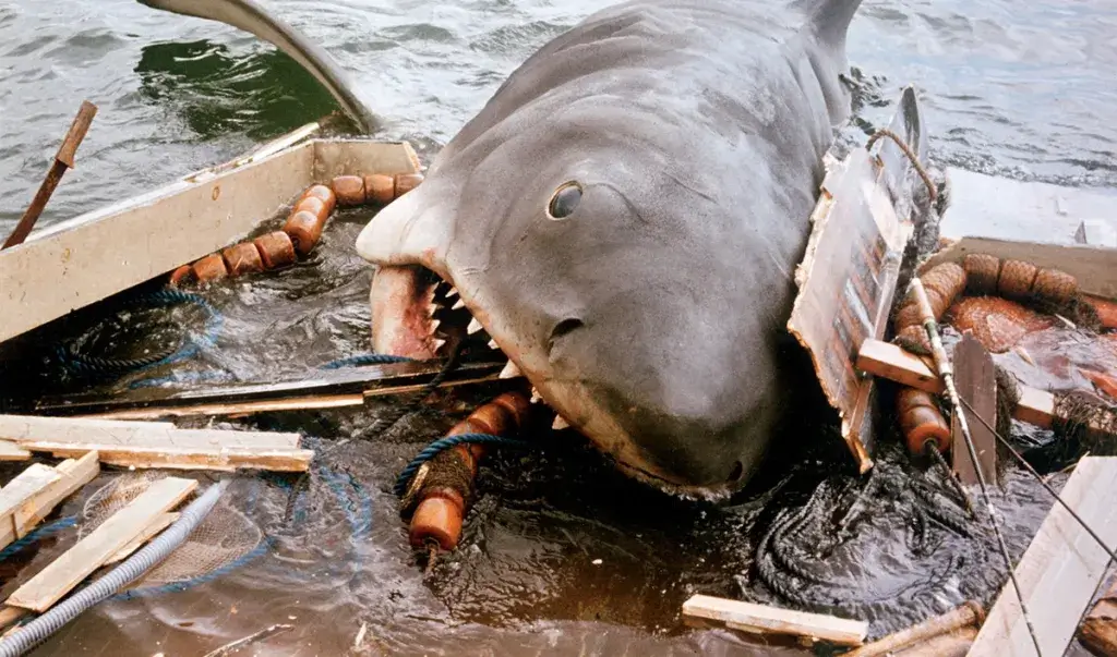 Jaws 1200x707 1