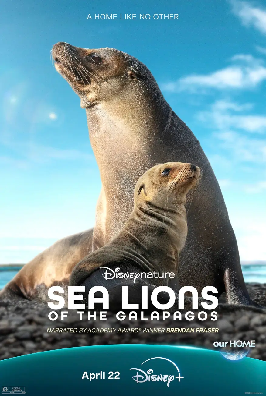 Sea Lions of the Galapagos.