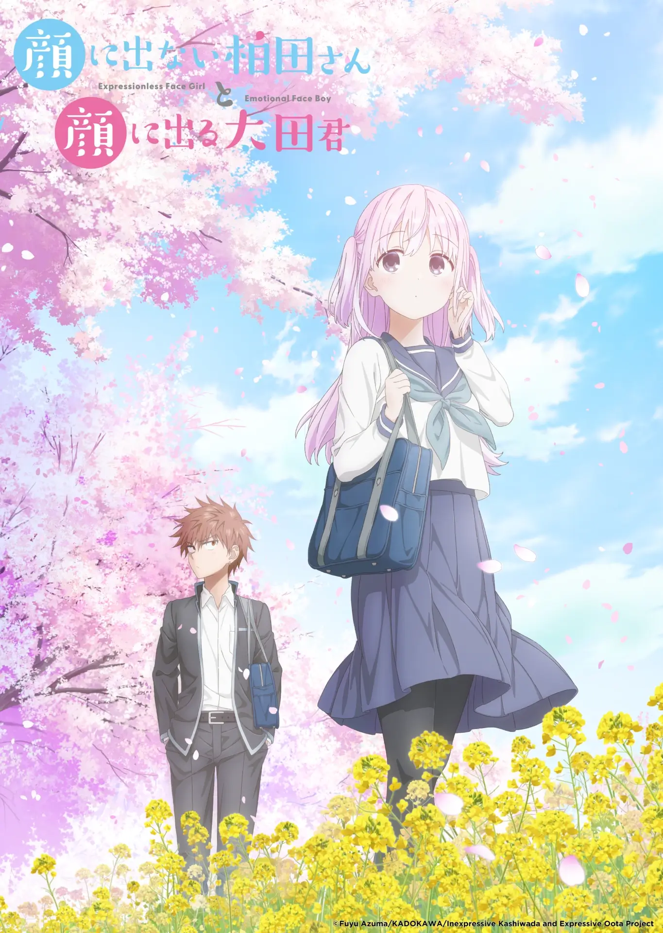 Inexpressive Kashiwada and Expressive Oota NA key art