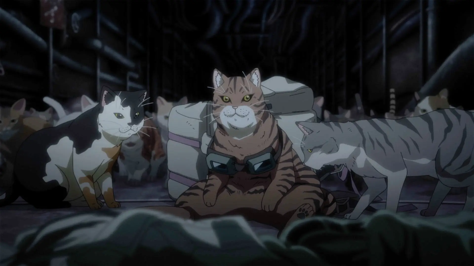 Nyaight of the Living Cat trailer 1 still 4