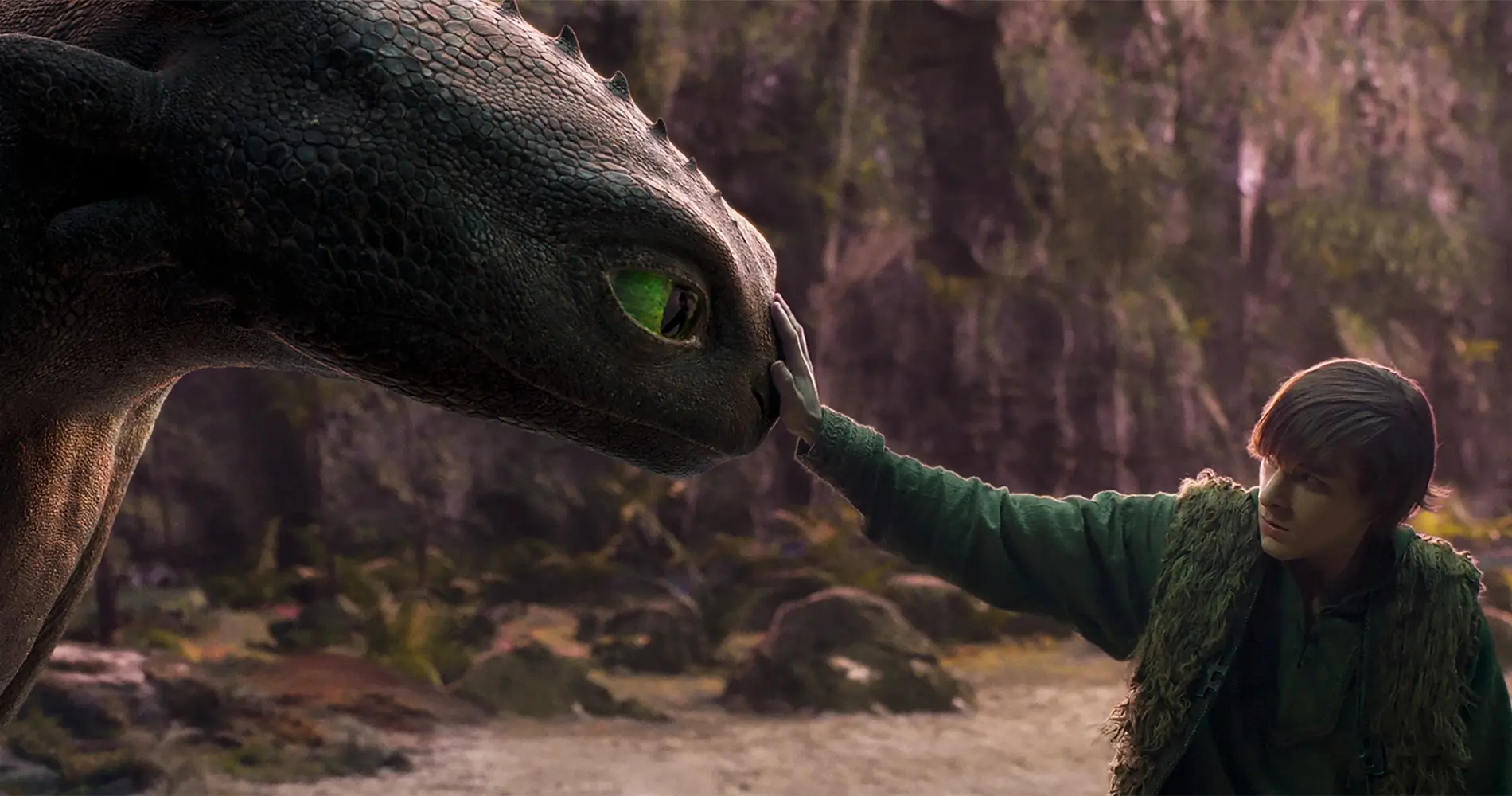 Httyd Gallery1 673ce5070a63d 1