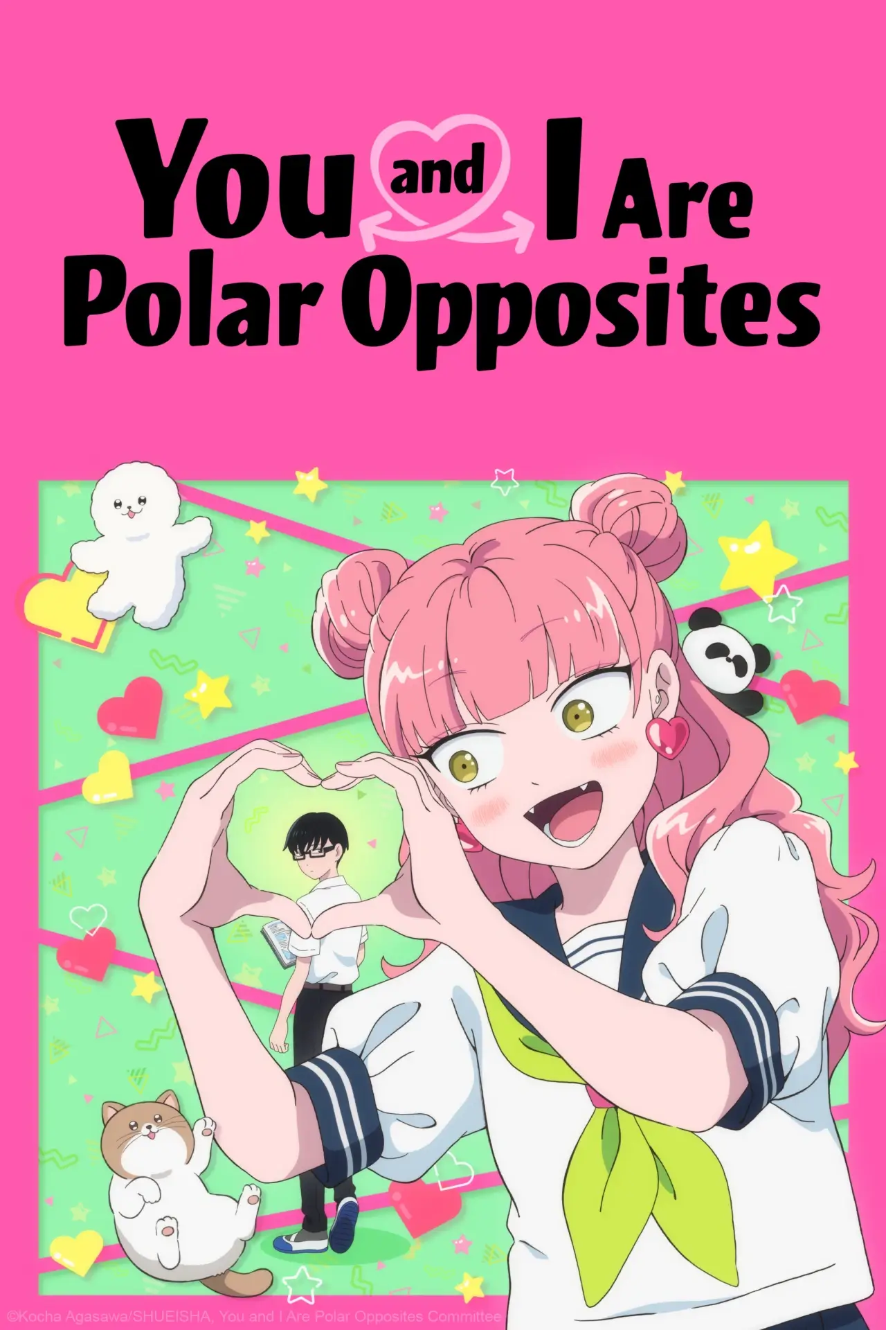 You and I Are Polar Opposites NA key art