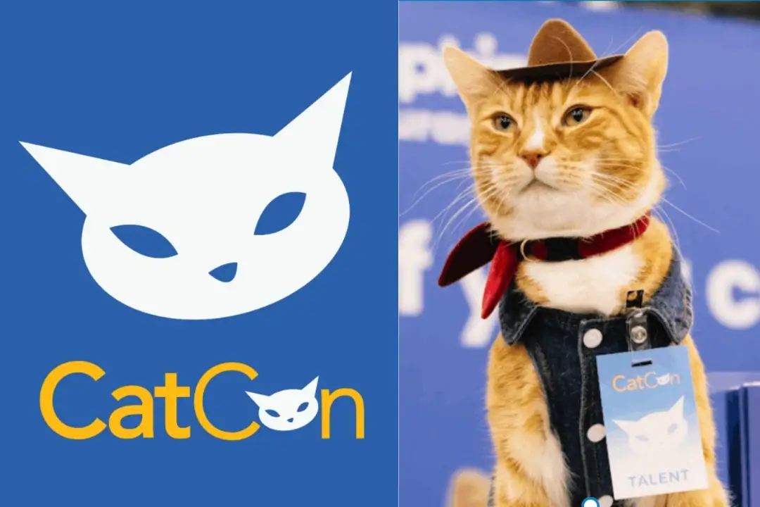 CatCon 2025