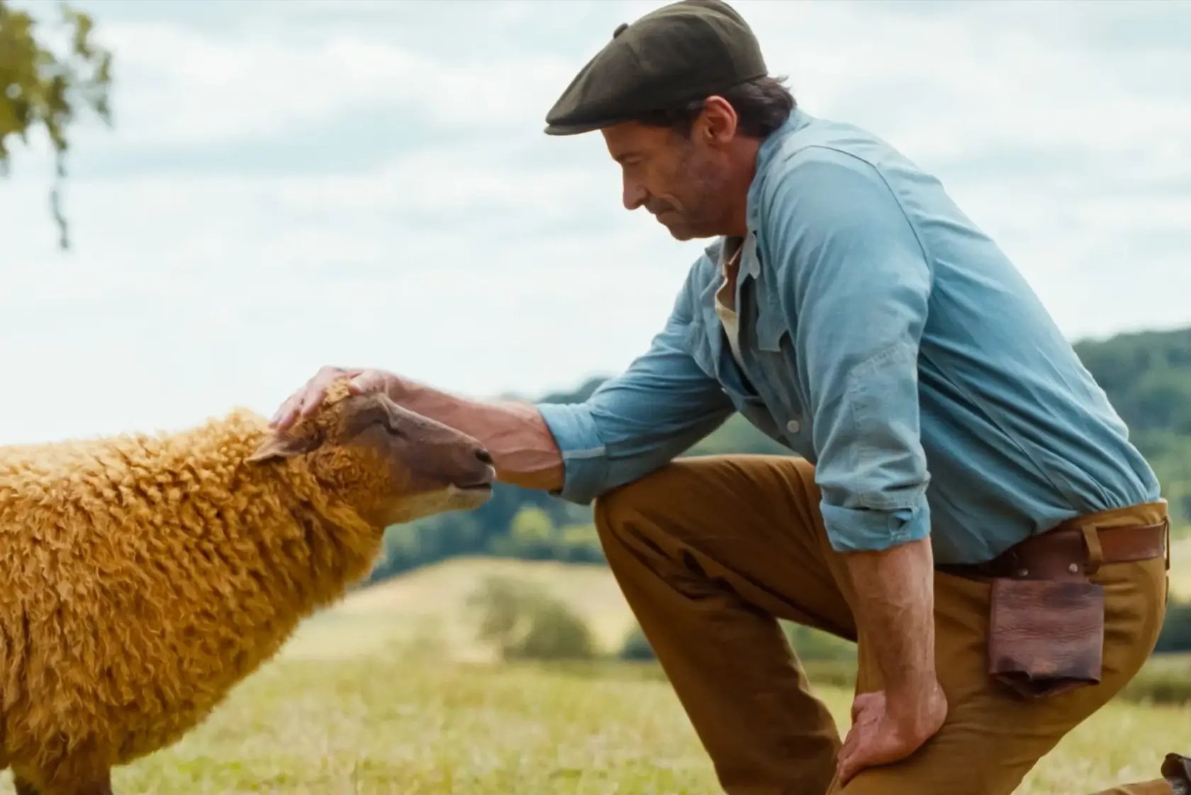 Sheep Detectives