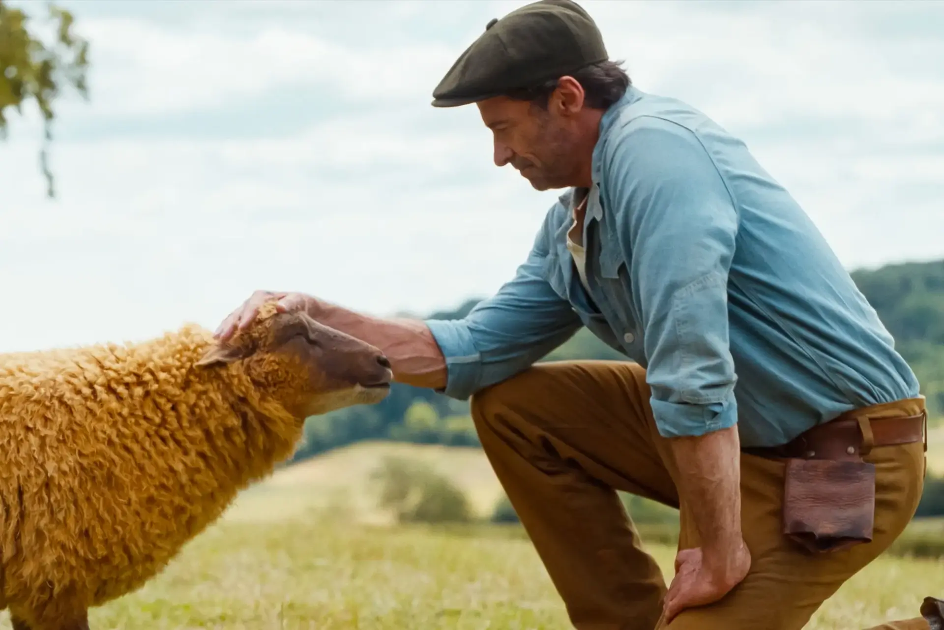 The Sheep Detectives