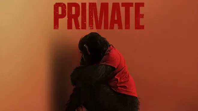 'Lucy, Bad' - New Clip From 'Primate' Stirs Up The Terror For An Animal Attack Movie