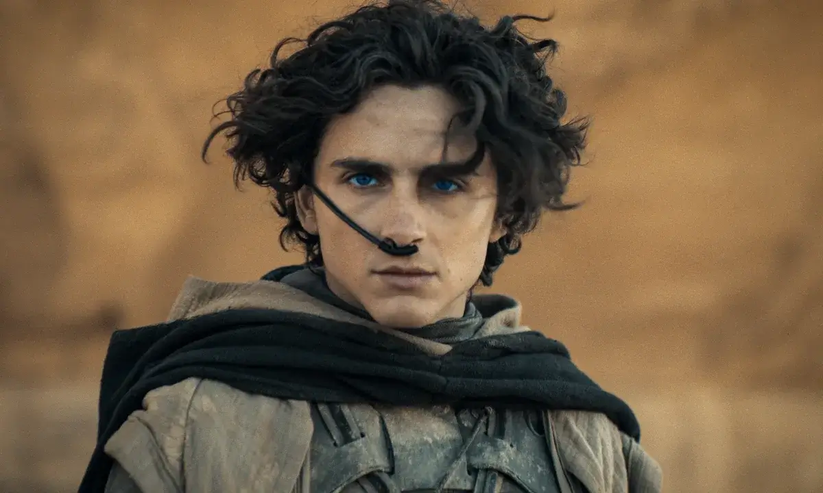 Paul Atreides Stands Near A Desert Wall In Dune Part Two