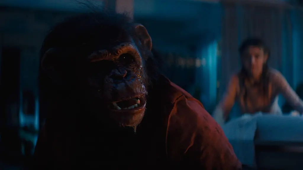 Primate leads What We're Watching