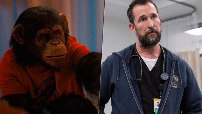 Primate + The Pitt, What We're Watching