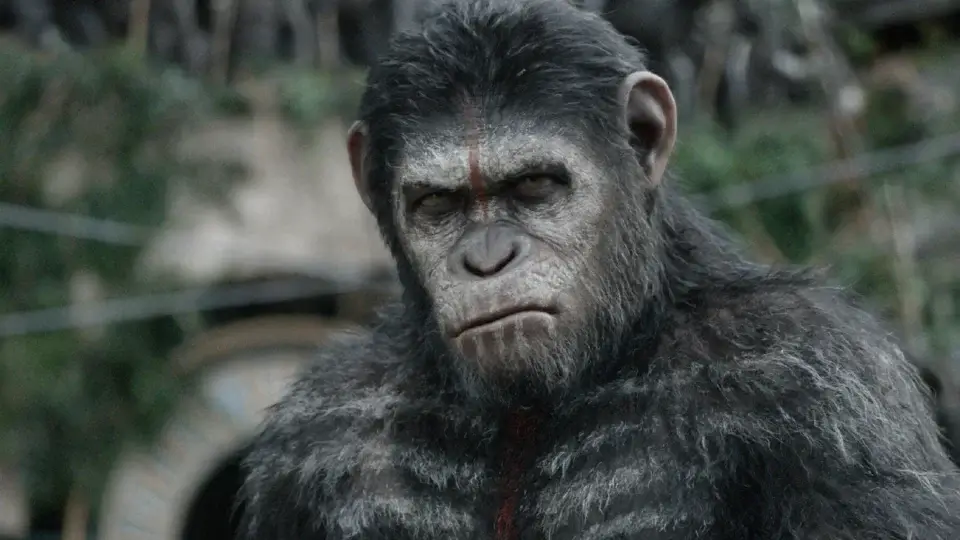 Planet of the Apes adds Matt Shakman as director.