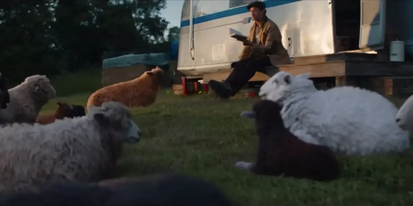 The Sheep Detectives