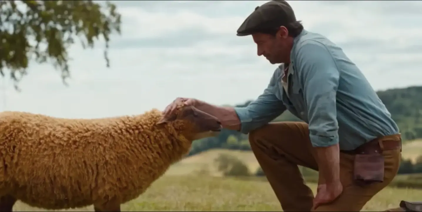 The Sheep Detectives