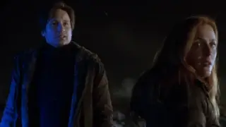 David Duchovny and Gillian Anderson stand together in disbelief on a cold night in The X-Files: I Want to Believe.