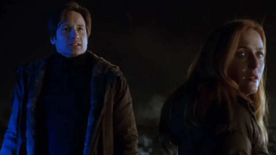 David Duchovny and Gillian Anderson stand together in disbelief on a cold night in The X-Files: I Want to Believe.