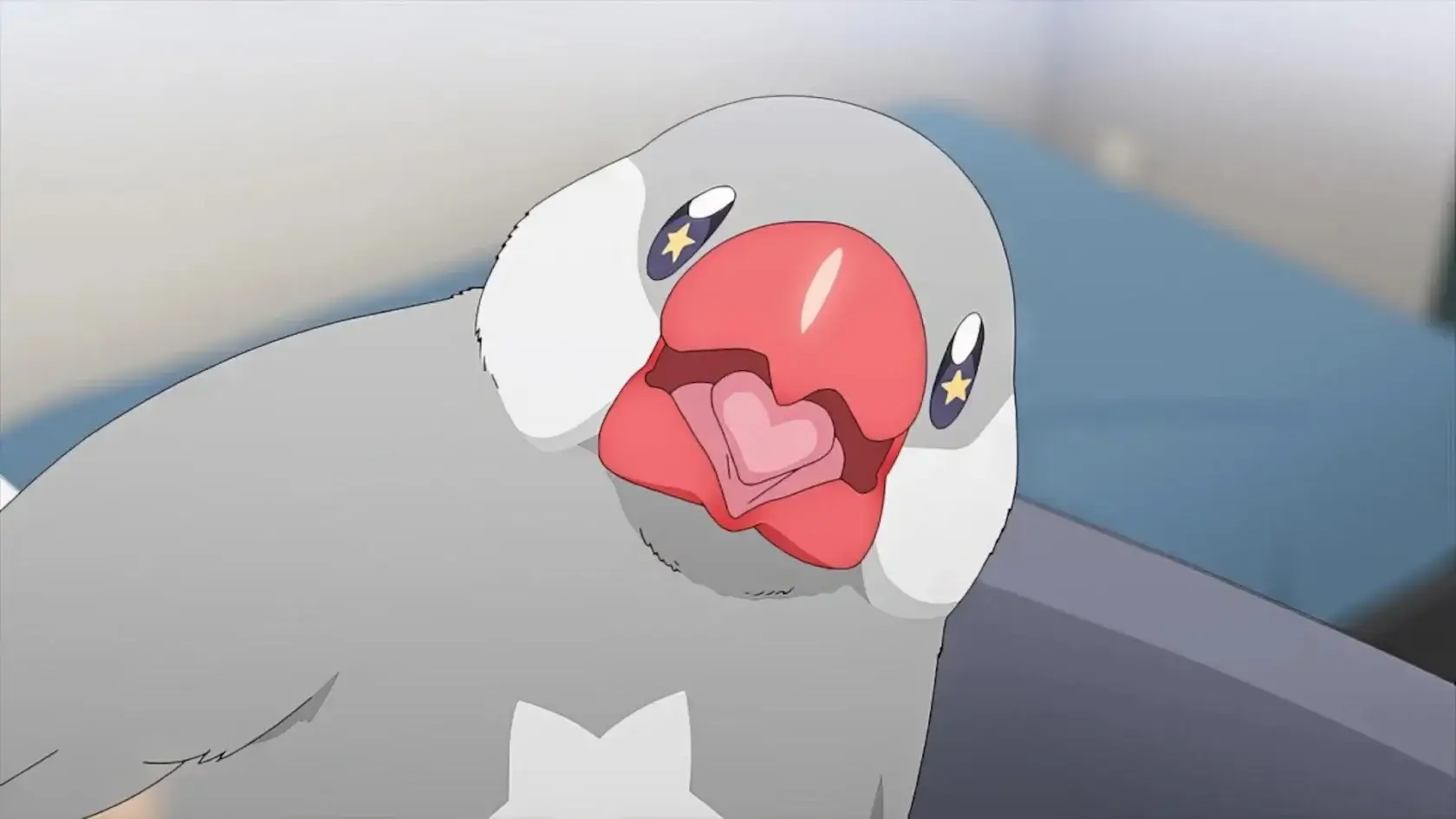 a bird looking