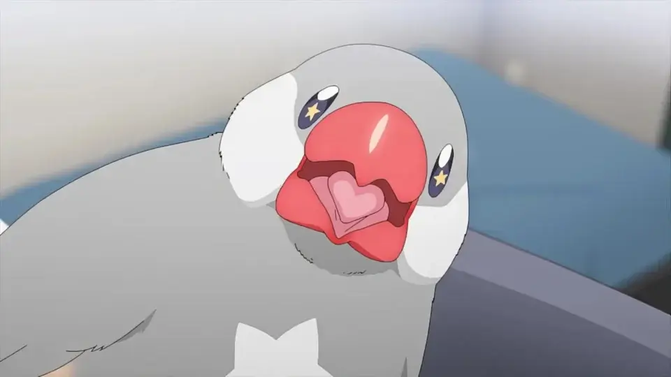 a bird looking