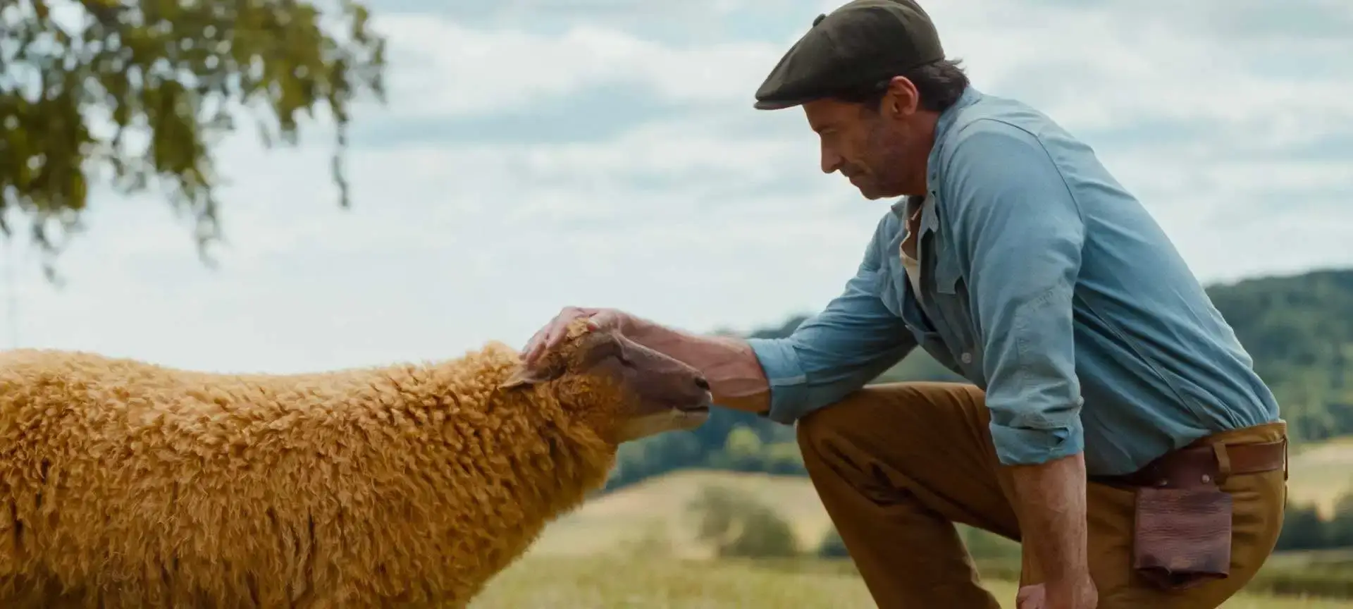 Hugh Jackman in The Sheep Detectives.