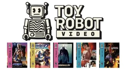 Toy Robot Video announcement image.