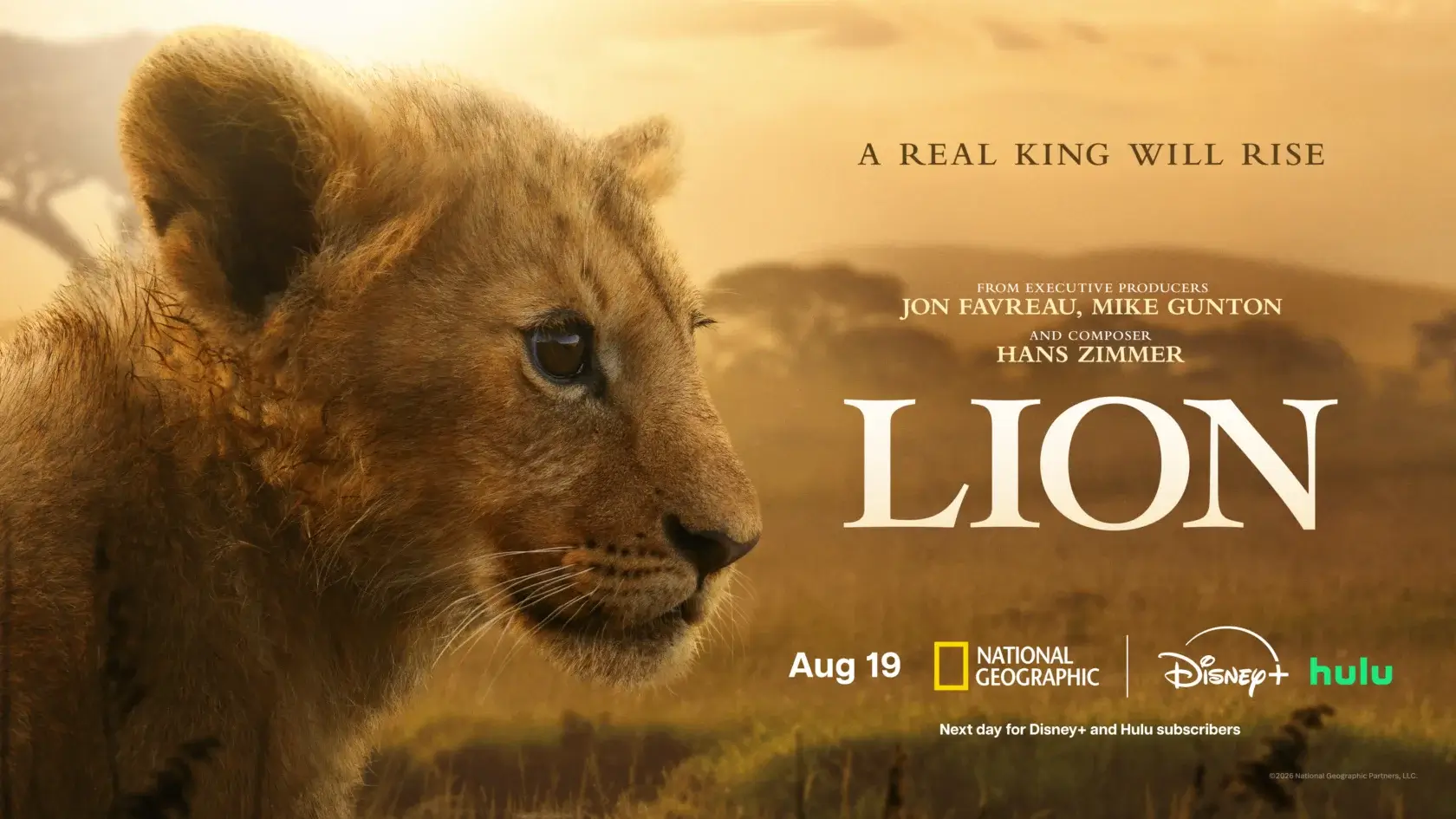 National Geographic Reveals ‘LION’ On Disney+ And Hulu With New Trailer