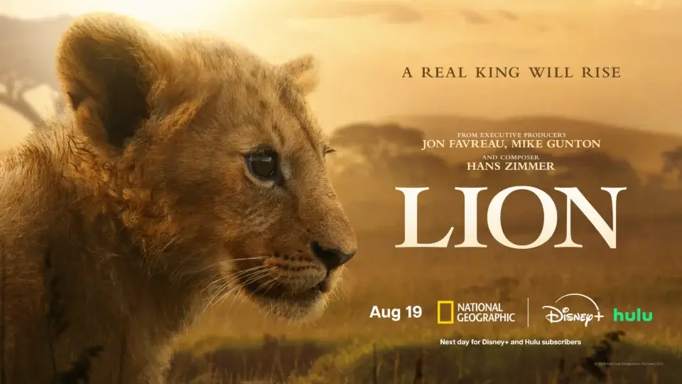 National Geographic Reveals ‘LION’ On Disney+ And Hulu With New Trailer