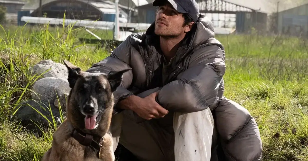 The Dog Stars