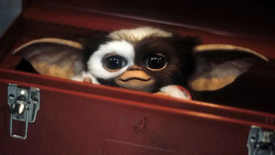 gizmo in a box