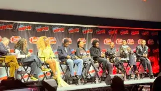 Panel of people