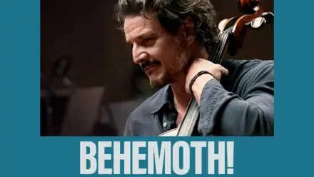 Man plays cello