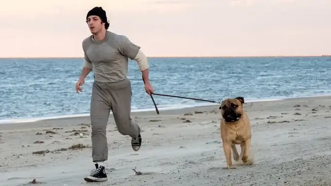 Anthony Ippolito as Sylvester Stallone in I Play Rocky